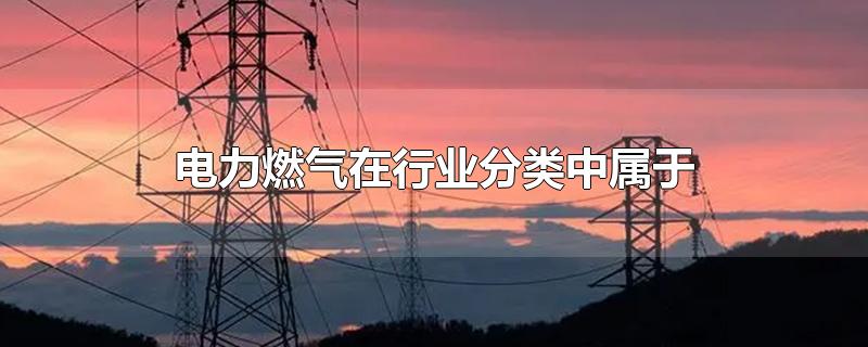 电力燃气在行业分类中属于