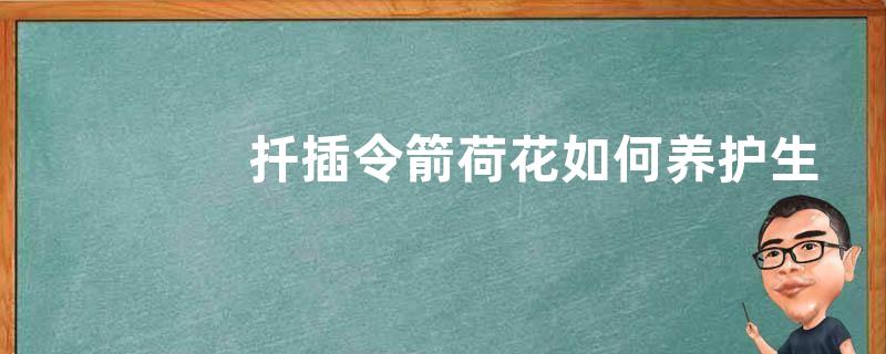 扦插令箭荷花如何养护生长快