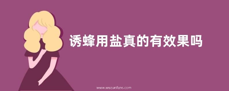 诱蜂用盐真的有效果吗