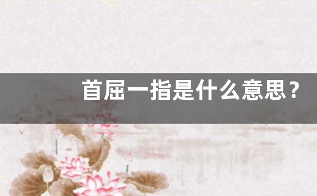 首屈一指是什么意思？