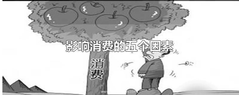 影响消费的五个因素