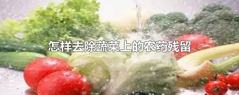 怎样去除蔬菜上的农药残留