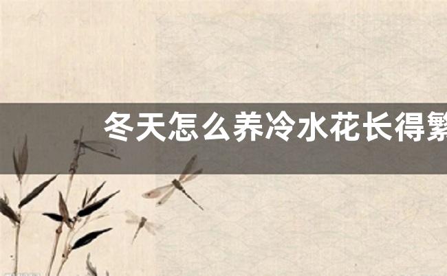 冬天怎么养冷水花长得繁茂不黄叶