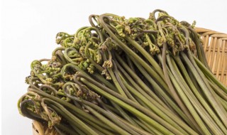 新鲜蕨菜怎么处理 新鲜蕨菜如何处理