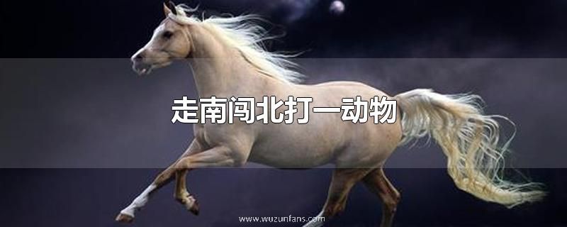 走南闯北打一动物