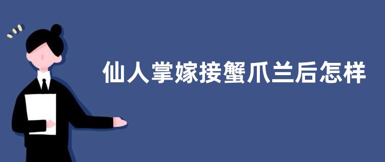 仙人掌嫁接蟹爪兰后怎样养护能开花