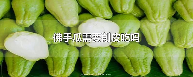 佛手瓜需要削皮吃吗