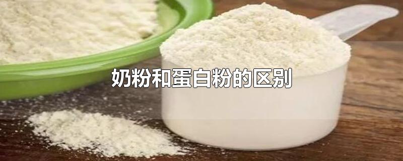 奶粉和蛋白粉的区别