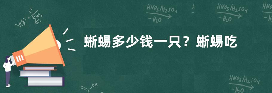 蜥蜴多少钱一只？蜥蜴吃什么食物以及有没有毒性