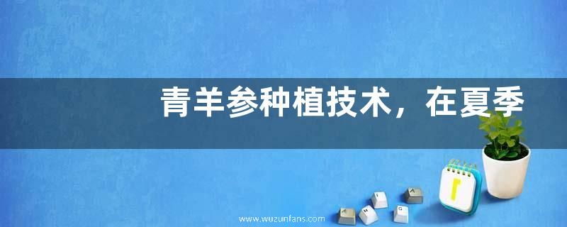 怎么查询档案在哪里保管