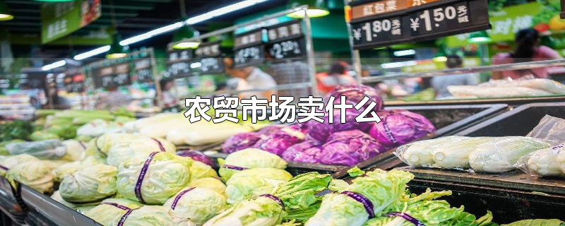 农贸市场卖什么