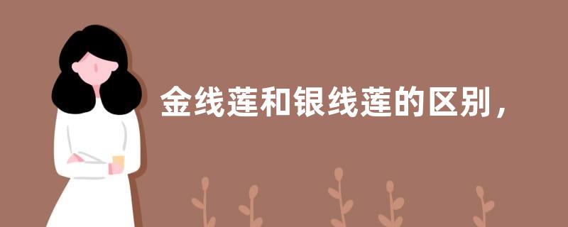 金线莲和银线莲的区别，详细介绍