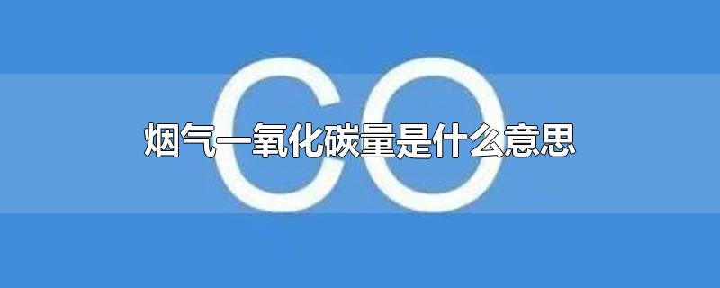 烟气一氧化碳量是什么意思