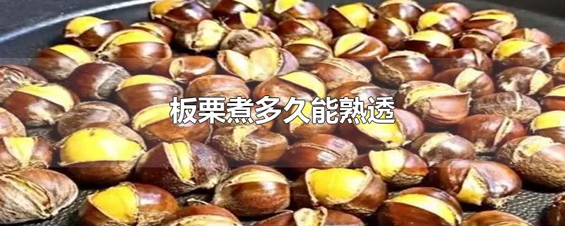 板栗煮多久能熟透