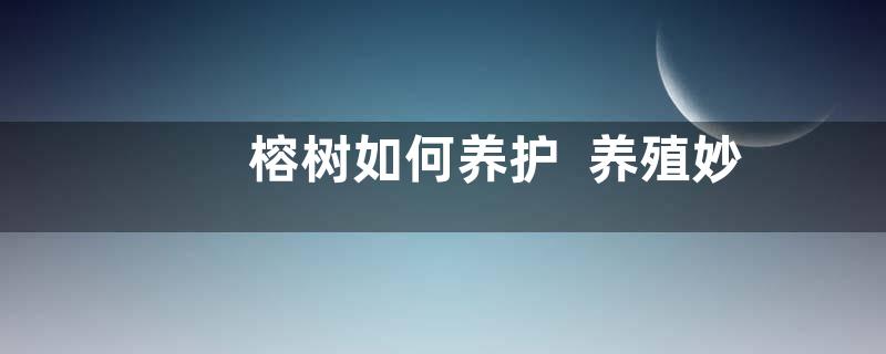 榕树如何养护  养殖妙招