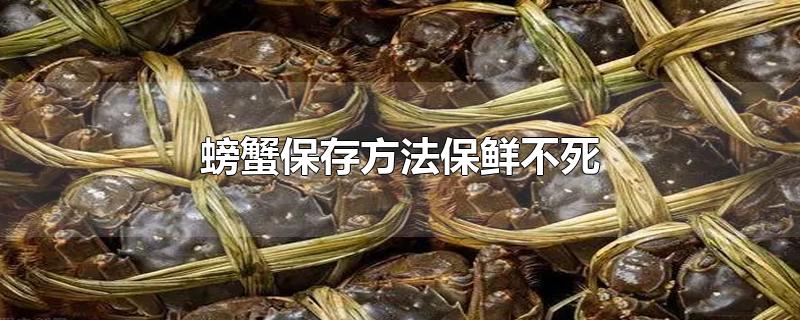 螃蟹保存方法保鲜不死