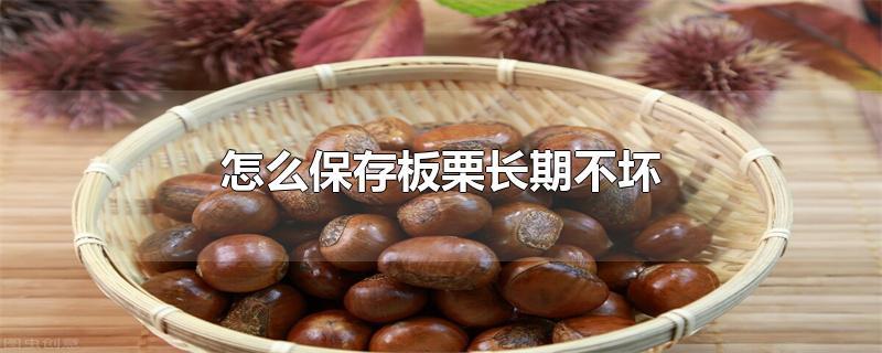 怎么保存板栗长期不坏