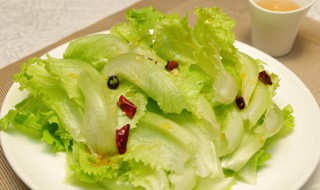 在家种植生菜方法 在家如何种植生菜