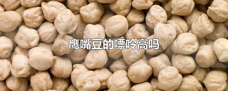 鹰嘴豆的嘌呤高吗