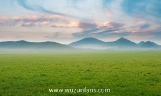 绿的近义词是什么 绿的近义词有哪些
