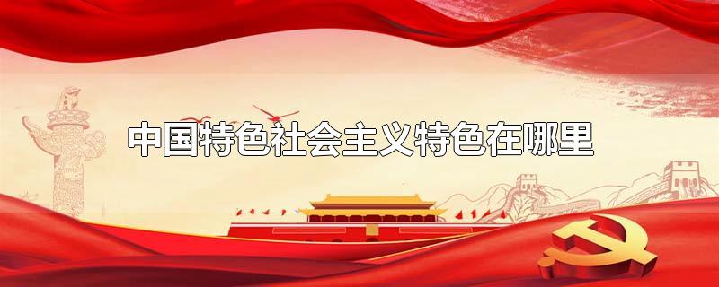 中国特色社会主义特色在哪里