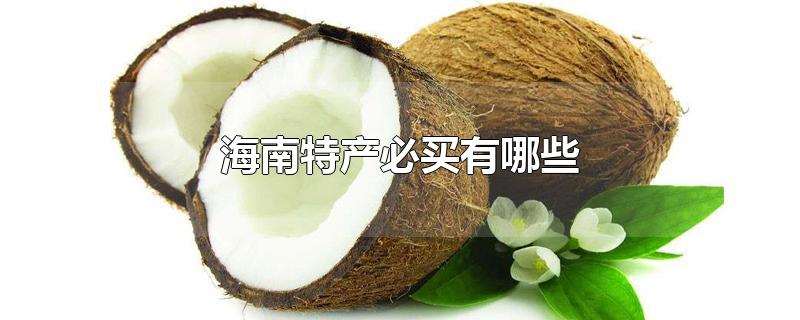 海南特产必买有哪些