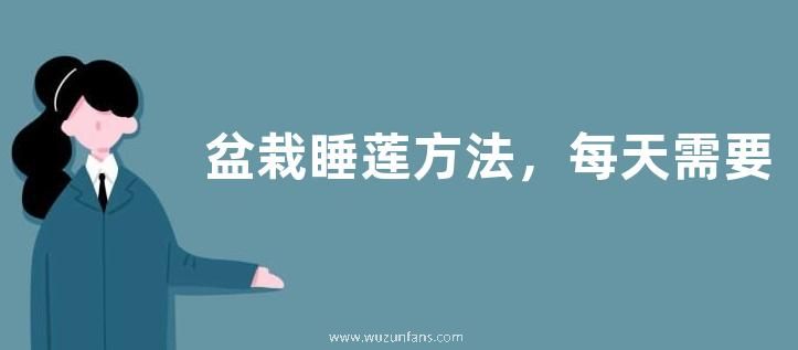 盆栽睡莲方法，每天需要长时间的光照