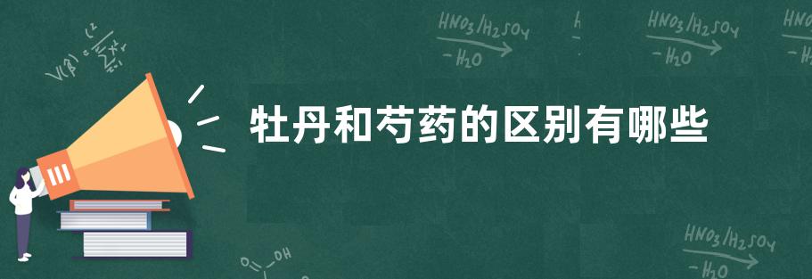 牡丹和芍药的区别有哪些？附芍药别称