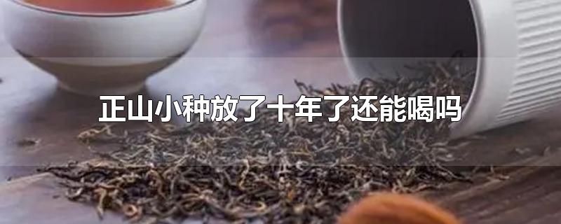 正山小种放了十年了还能喝吗
