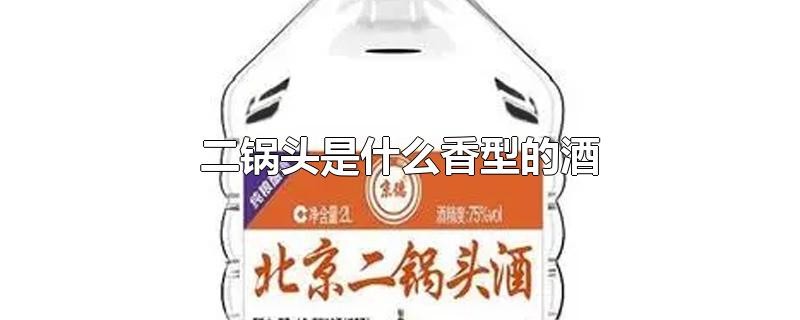 二锅头是什么香型的酒