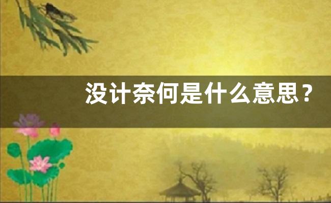 没计奈何是什么意思？