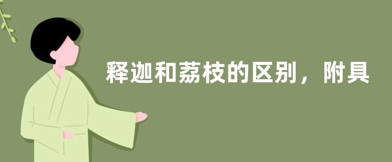释迦和荔枝的区别，附具体区别