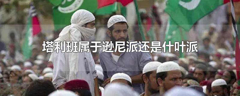 塔利班属于逊尼派还是什叶派