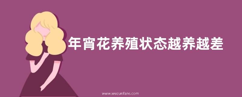 年宵花养殖状态越养越差的原因