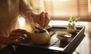 茶漏什么材质好 茶漏啥样材质的好呢