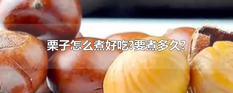 栗子怎么煮好吃?要煮多久?