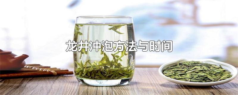 龙井冲泡方法与时间