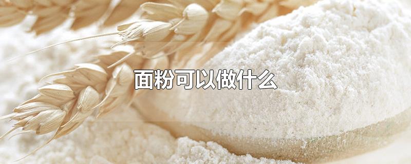 面粉可以做什么