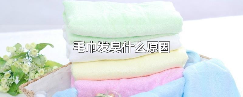 毛巾发臭什么原因