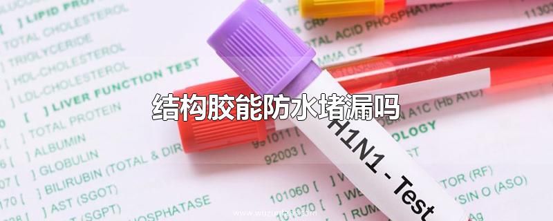 结构胶能防水堵漏吗