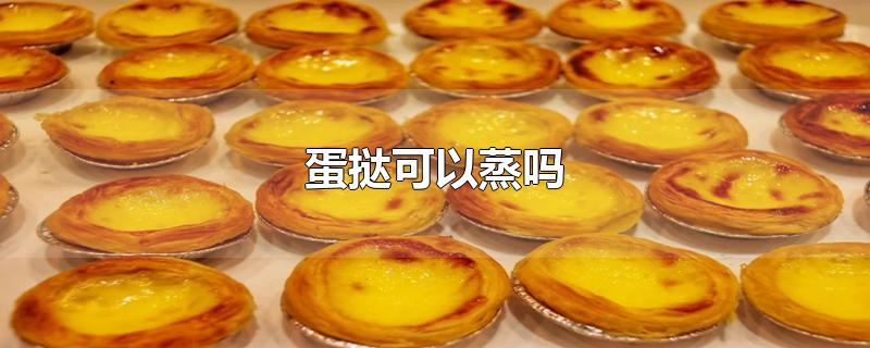 蛋挞可以蒸吗
