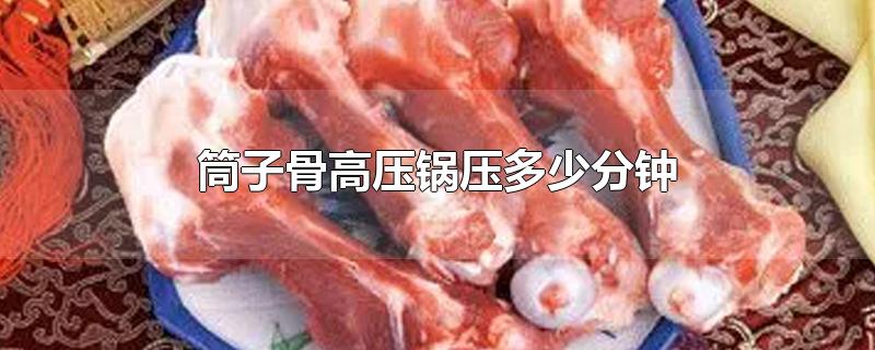 筒子骨高压锅压多少分钟