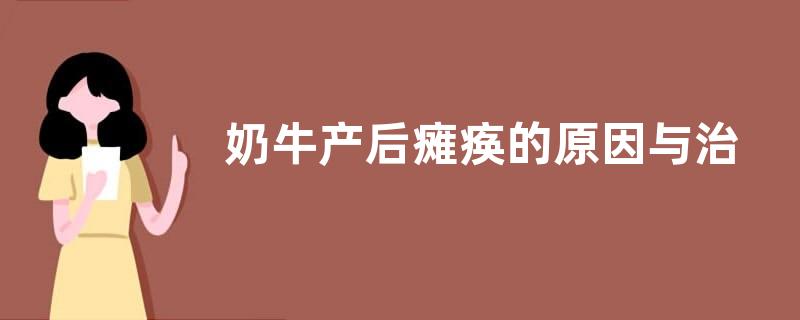 奶牛产后瘫痪的原因与治疗方法