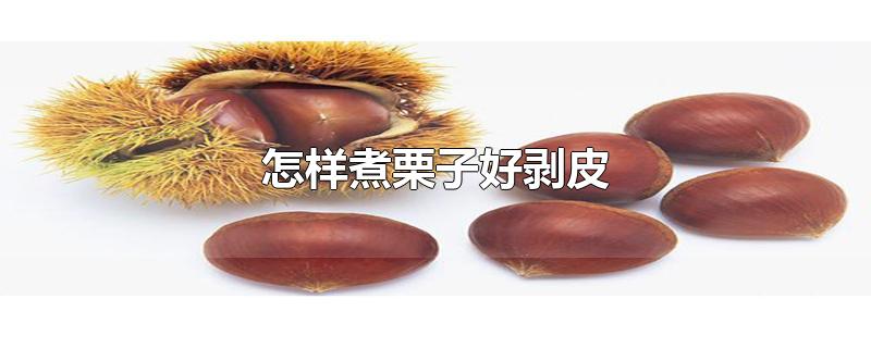 怎样煮栗子好剥皮