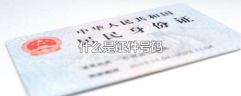 什么是证件号码