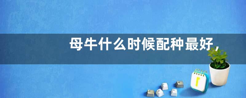 母牛什么时候配种最好，有哪些配种方式