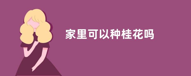 家里可以种桂花吗