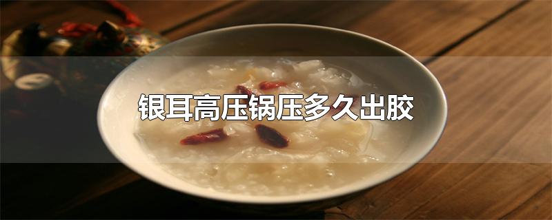 银耳高压锅压多久出胶
