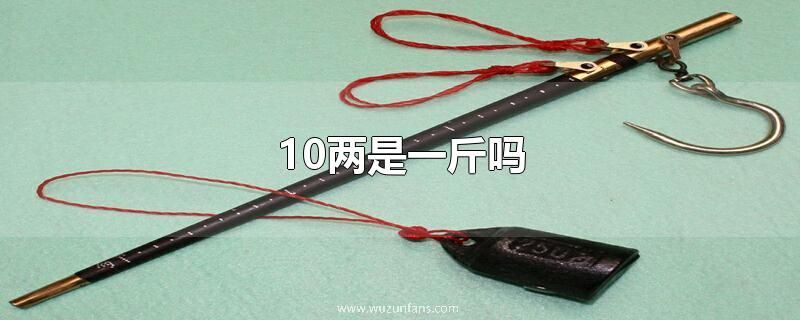 10两是一斤吗
