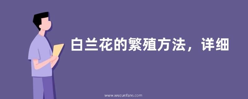 白兰花的繁殖方法，详细介绍
